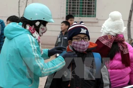 (Ảnh minh họa: Bích Ngọc/TTXVN)