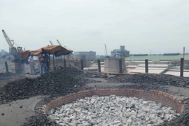 (Ảnh: Xuân Tiến/TTXVN)