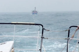 (Ảnh minh họa: Xuân Nguyên/TTXVN phát)