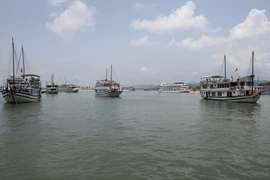 (Nguồn: Tập đoàn Tuần Châu)