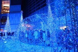 (Ảnh: Nguyễn Tuyến/Vietnam+)