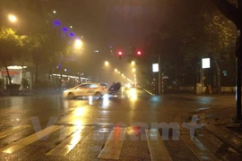 Ảnh minh họa. (Nguồn: Vietnam+)