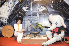 H'Hen Niê là Đại sứ Truyền thông của lễ hội. (Ảnh: Viết Quý/Vietnam+)