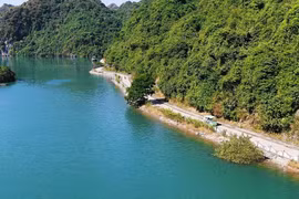 Một góc xanh trên đảo Cát Bà. (Ảnh: CTV/Vietnam+)