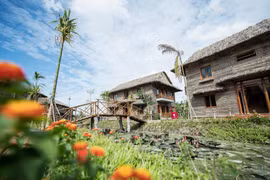 Không gian xanh ở Can Thơ Ecolodge. (Ảnh: Tăng Tùng/Vietnam+)