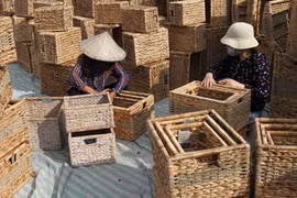 Làng nghề đan cỏ tế Phú Túc, huyện Phú Xuyên. (Nguồn: vov.vn)