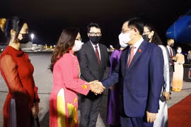 Cán bộ, nhân viên Đại sứ quán Việt Nam tại Phần Lan, đại diện Ủy ban đối ngoại Quốc hội Phần Lan đón Chủ tịch Quốc hội Vương Đình Huệ tại sân bay Vantaa. (Ảnh: Doãn Tấn/TTXVN)