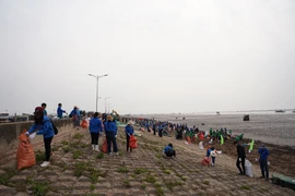 Thanh niên tham gia chương trình đặc biệt làm sạch bãi biển Giao Hải