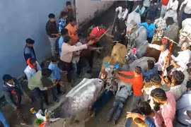 Hoạt động ăn mừng hậu Lễ Diwali ở làng Bhidavad. (Nguồn: Oddity Central)