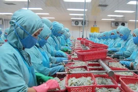 WTO đưa phán quyết với 7 nội dung có lợi cho tôm Việt Nam