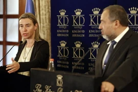 Liên minh châu Âu EU kêu gọi thành lập Nhà nước Palestine