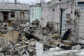 Ukraine: Nhất trí nguyên tắc hình thành liên minh cầm quyền