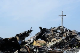 Hà Lan tìm thấy thêm thi thể nạn nhân của vụ máy bay MH17