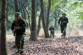 Quân đội nhân dân Việt Nam: Sản phẩm của sự kế thừa, phát triển