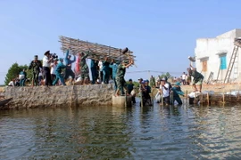 Trưa 29/11, tâm bão cách bờ biển Bình Định-Khánh Hòa khoảng 180km