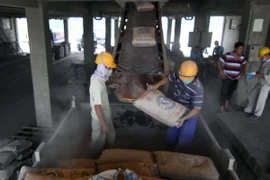 Thị trường ximăng 2014: Tiêu thụ nội địa và xuất khẩu “được mùa”