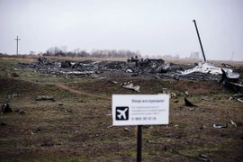 Thủ tướng Najib hối thúc ông Putin giúp tiếp cận hiện trường MH17