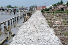 Cà Mau xác định 3 cửa biển đột phá đầu tư phát triển kinh tế