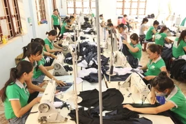 Hỗ trợ nâng cao năng lực dạy nghề cho phụ nữ Việt Nam