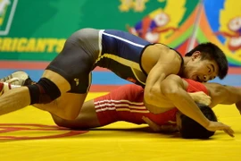 Cấn Tất Dự giành chiếc huy chương vàng ở môn vật.(Ảnh: Thanh Hà/TTXVN)