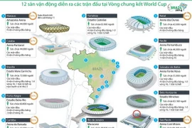 Đồ họa 12 sân vận động tổ chức World Cup 2014