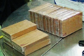 Mua bán ma túy, chị vợ và em rể lĩnh án chung thân