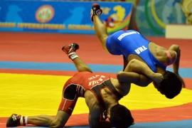 Đoàn thể thao Việt Nam đã giành tổng cộng 9 HCV