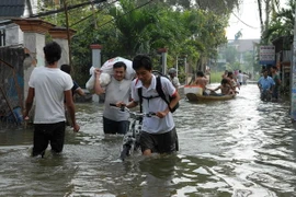 Ảnh nhà dân chìm trong nước do vỡ đê bao kênh Cầu Làng