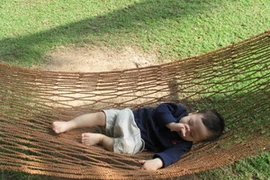 Ảnh minh họa. (Nguồn: VN+)