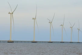 Lũy kế đến ngày 13/10, có tổng số 69 dự án năng lượng tái tạo chuyển tiếp đề nghị giá tạm bằng 50% giá trần của khung giá theo Quyết định số 21/QĐ-BCT. (Ảnh: Đức Duy/Vietnam+)