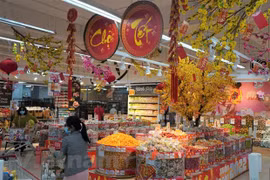 Các địa phương lớn như Hà Nội, Thành phố Hồ Chí Minh và Đà Nẵng đã lên phương án để sẵn sàng nguồn cung hàng hóa dịp cuối năm và Tết Nguyên đán. (Ảnh: Đức Duy/Vietnam+)
