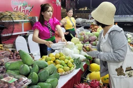 Các chương trình kết nối tiêu thụ nông sản đã tạo ra sức hấp dẫn với người tiêu dùng Thủ đô. (Ảnh: Đức Duy/Vietnam+)