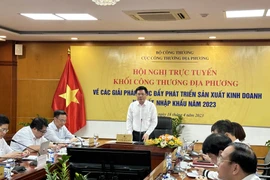 Bộ trưởng Nguyễn Hồng Diên chủ trì Hội nghị trực tuyến Khối công thương địa phương. (Ảnh: Xuân Quảng/Vietnam+) 