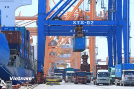 Xuất nhập khẩu hàng hóa qua cảng Hải phòng. (Ảnh: Đức Duy/Vietnam+) 