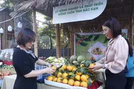 Đặc sản các địa phương góp mặt tại Lễ hội trái cây Hà Nội 2023. (Ảnh: Xuân Quảng/Vietnam+)