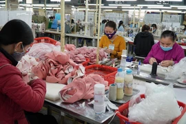 Doanh nghiệp đẩy mạnh các giải pháp để thích ứng với thị trường. (Ảnh: Xuân Quảng/Vietnam+)