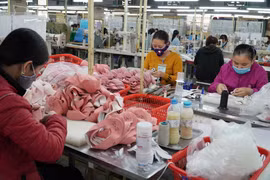Doanh nghiệp đẩy mạnh các giải pháp để thích ứng với thị trường. (Ảnh: Xuân Quảng/Vietnam+)
