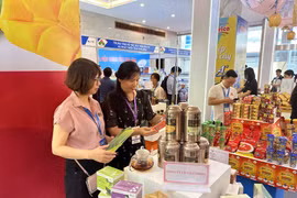 Thương mại điện tử giúp khắc phục khoảng cách về địa lý, tiếp cận lượng khách hàng lớn. (Ảnh: Đức Duy/Vietnam+) 