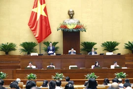 Quốc hội thảo luận tại hội trường. (Ảnh: TTXVN)