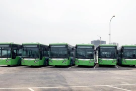 Dàn xe buýt nhanh BRT Kim Mã-bến xe Yên Nghĩa đang tập kết và chờ ngày lăn bánh. (Ảnh: Doãn Đức/Vietnam+)