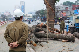 Ảnh minh họa. (Ảnh: Minh Sơn/Vietnam+)