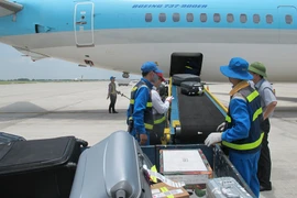 Nhân viên bốc xếp hành lý từ hầm hàng máy bay. (Ảnh: Việt Hùng/Vietnam+)