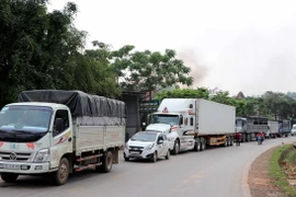 Ảnh chỉ có tính minh họa. (Ảnh: Quang Đán/TTXVN)