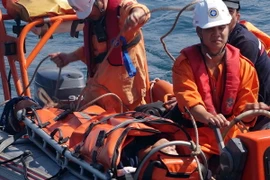 Ảnh chỉ có tính minh họa. (Nguồn: TTXVN)