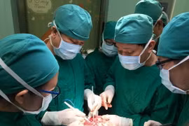 Ảnh chỉ có tính minh họa. (Nguồn: TTXVN)