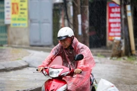 Ảnh chỉ có tính minh họa. (Ảnh: Minh Sơn/Vietnam+)