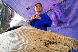 Ruồi bu tại khu vực dân dựng lán, chặn xe chở rác vào bãi rác Nam Sơn. (Ảnh: H.V/Vietnam+)