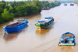 Ảnh minh họa. (Nguồn: TTXVN)