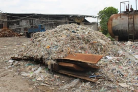 Ảnh minh họa. (Nguồn: Hùng Võ/Vietnam+)