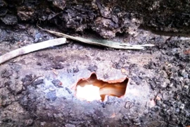 Tồn lưu hóa chất bảo vệ thực vật gây ô nhiễm. (Ảnh: TTXVN)